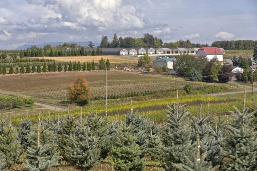 Rural Oregon nurseries and farmland.